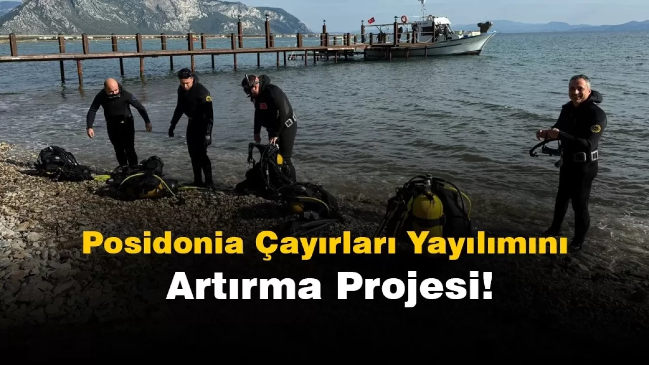 Muğla'da Posidonia Çayırlarını Çoğaltma Projesi Başlatıldı