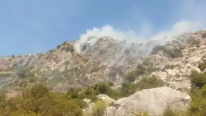 Marmaris Söğüt’te Çıkan Yangında Bir Kişi Gözaltına Alındı!