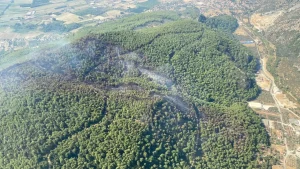 Gökova’nın Yanmasına Vali Engeli!