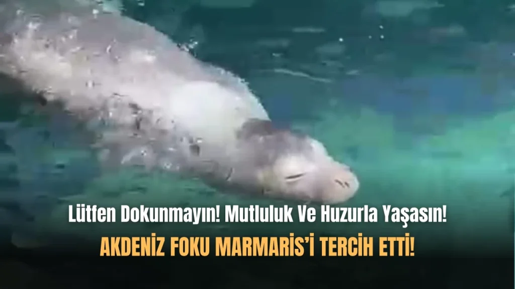 Marmaris’in En Özel Misafiri!